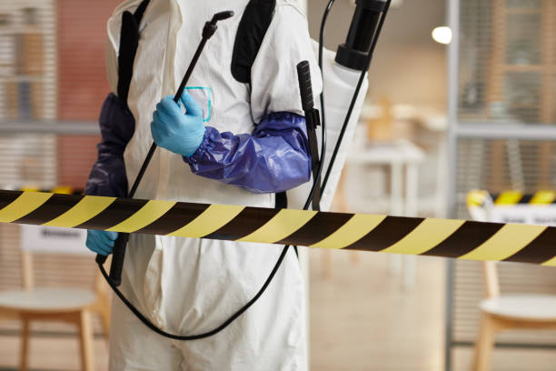 Professional Hoarding Cleanup technician working in Fresno, TX